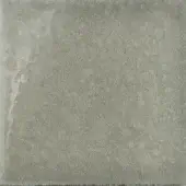 Oliva